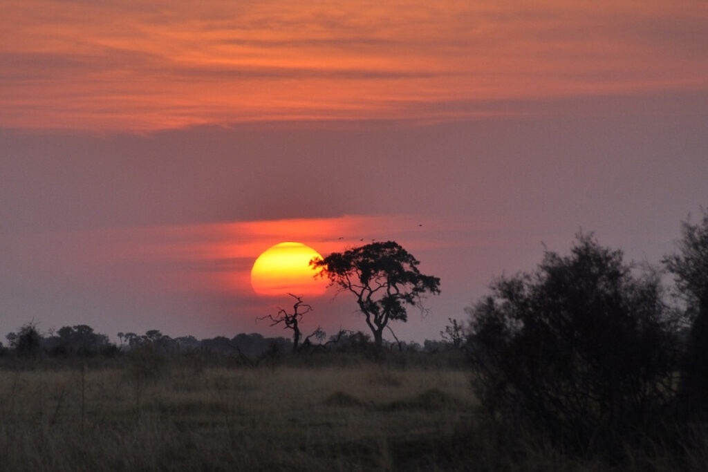 6-Day Safari with Night Game Drive Tanzania