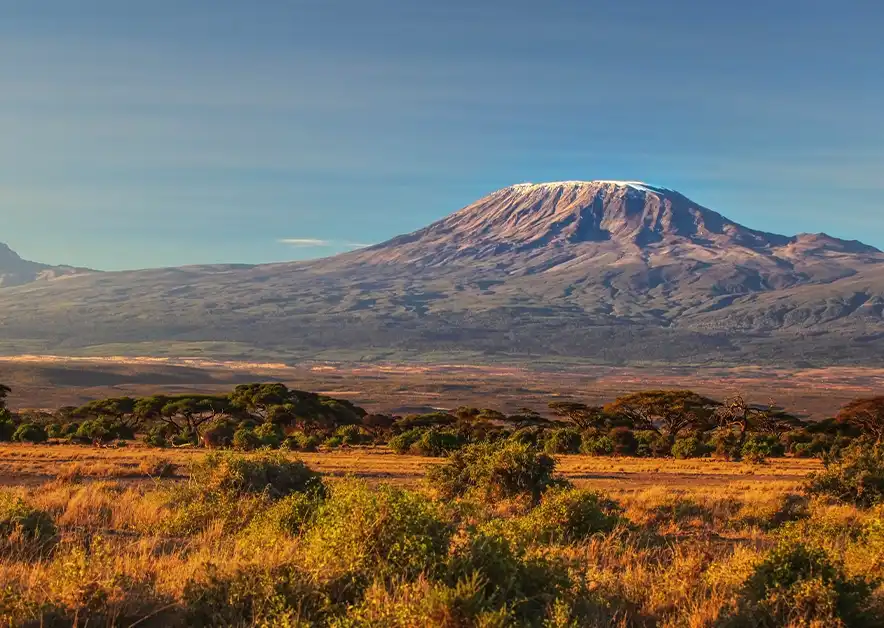 Serengeti National Park Alpha Grand Travel & Holidays