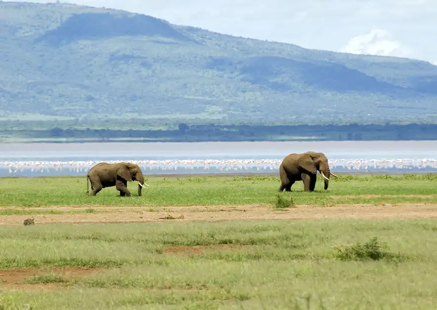 Arusha National Park Alpha Grand Travel & Holidays