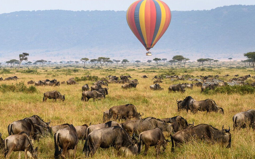 Top 5 Must-See Safari Destinations in Tanzania for First-Time Travelers