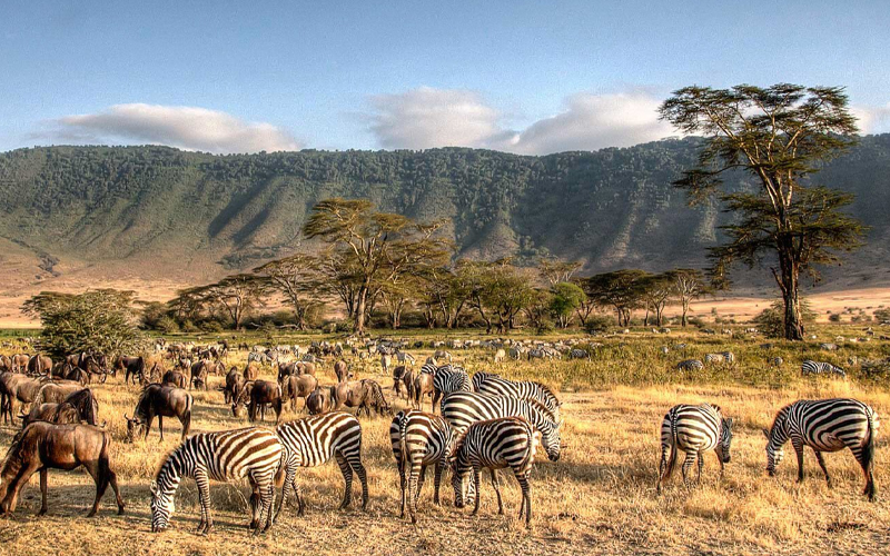 The Best Time to Visit Tanzania for Safaris and Beach Holidays in 2025