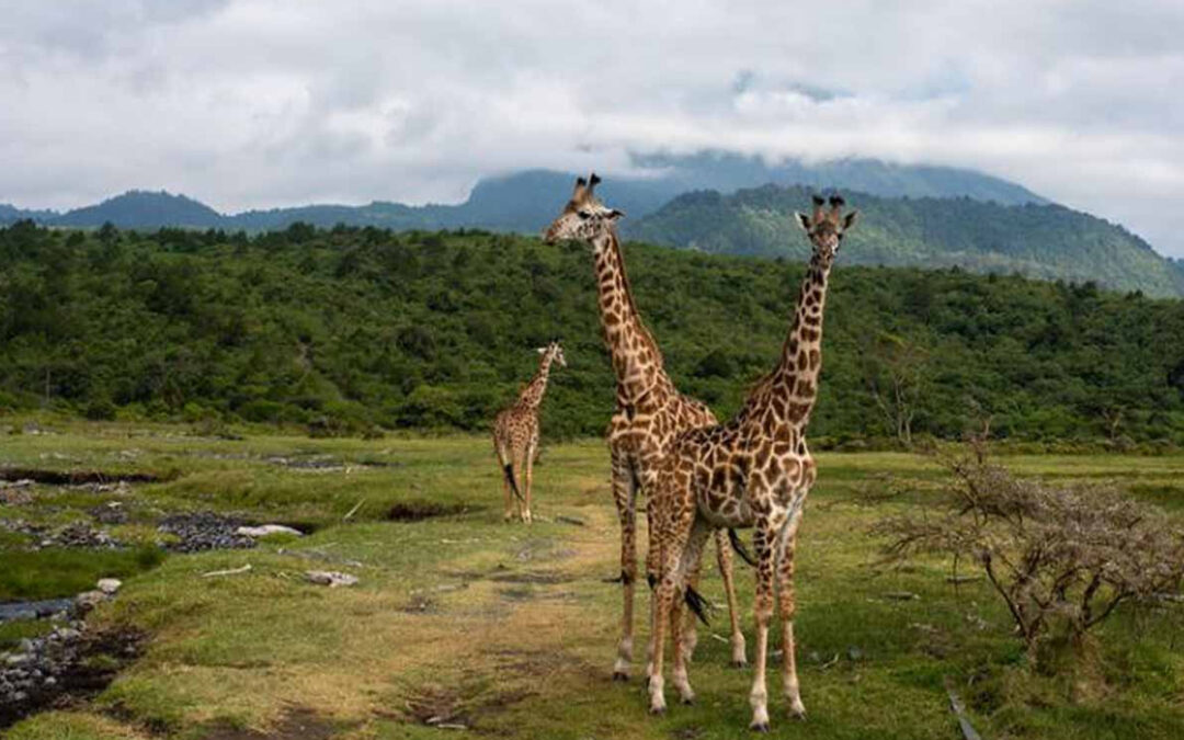 Beyond Safaris and Beaches: Exploring Tanzania’s Hidden Gems