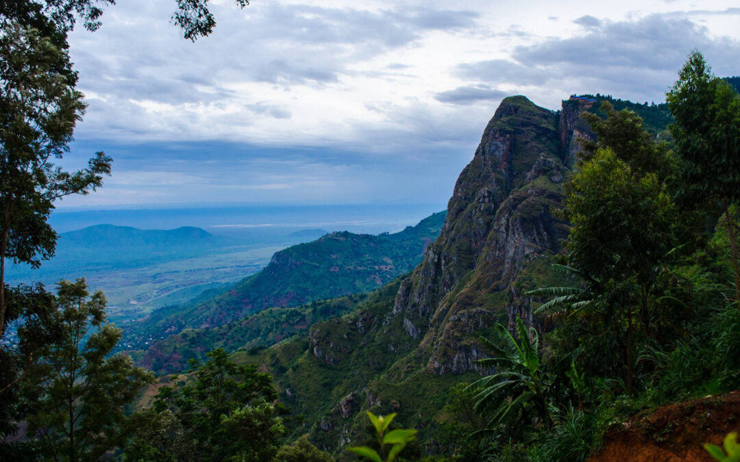 New Hiking Trails in Usambara Mountains: A Hidden Trekking Paradise